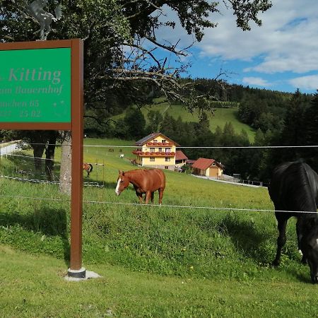 Urlaub Am Bauernhof Familie Kitting Villa Vorau Luaran gambar