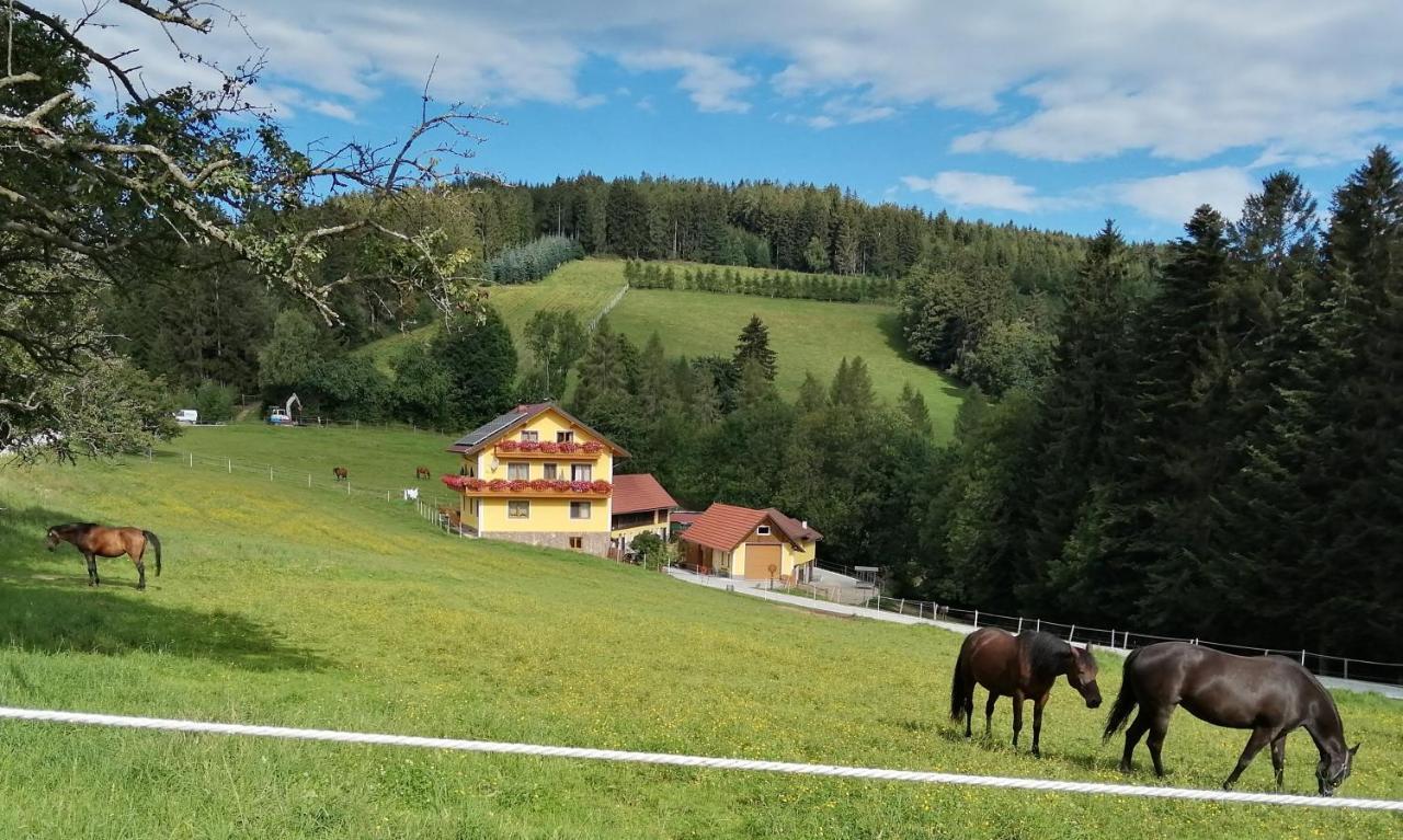 Urlaub Am Bauernhof Familie Kitting Villa Vorau Luaran gambar