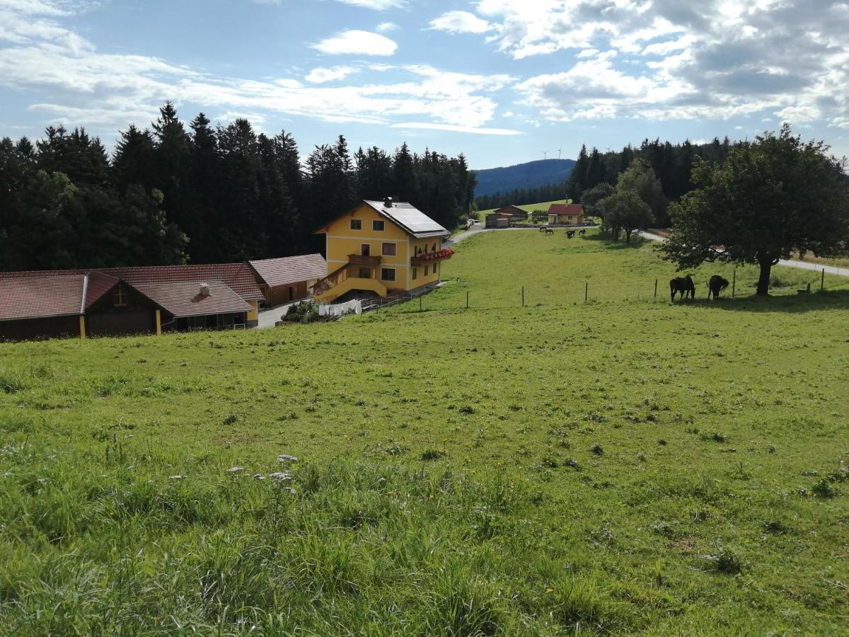 Urlaub Am Bauernhof Familie Kitting Villa Vorau Luaran gambar