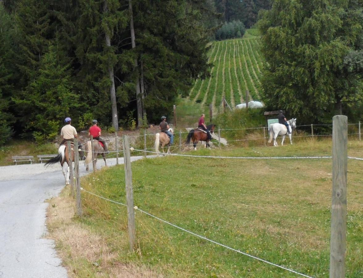 Urlaub Am Bauernhof Familie Kitting Villa Vorau Luaran gambar